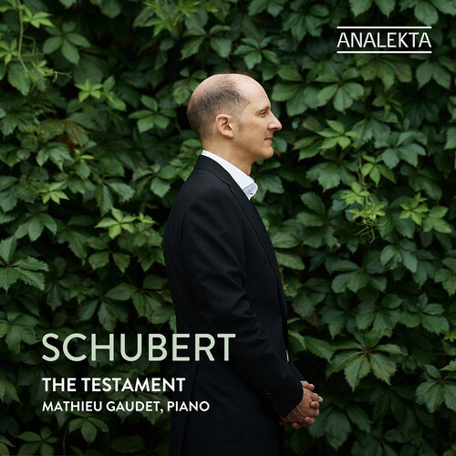 Franz Schubert - The Testament in the group OUR PICKS / Friday Releases / 2026-04-10 at Bengans Skivbutik AB (5656124)
