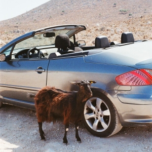 Exek - Prove The Mountains Move in the group OUR PICKS / Frontpage - Vinyl New & Forthcoming at Bengans Skivbutik AB (5656303)