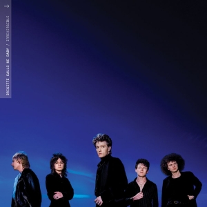 Brigitte Calls Me Baby - Irreversible in the group VINYL / Upcoming releases / Pop-Rock at Bengans Skivbutik AB (5656619)