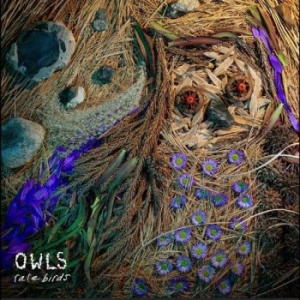 Owls - Rare Birds in the group VINYL / Pop-Rock at Bengans Skivbutik AB (5656762)