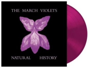 March Violets The - Natural History (Violet Vinyl Lp) R in the group OUR PICKS / Record Store Day / RSD 2026 at Bengans Skivbutik AB (5656901)