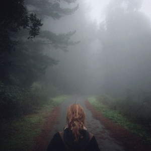 Mono - Under The Pipal Tree (25Th Annivers in the group OUR PICKS / Friday Releases / 2026-03-27 at Bengans Skivbutik AB (5657391)