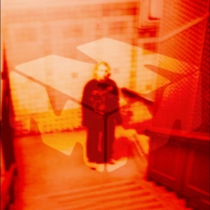 Stüm - Son Of The Forest / Fruit Of Knowle in the group VINYL / Upcoming releases / Pop-Rock at Bengans Skivbutik AB (5657397)