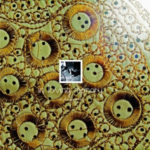 In Loving Memory - A Discography (Limited Edition) in the group CD / Upcoming releases / Pop-Rock at Bengans Skivbutik AB (5658331)