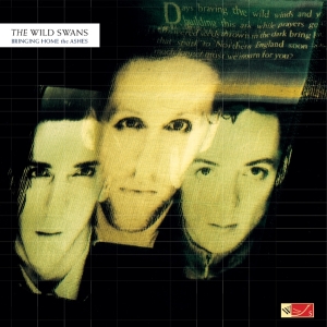The Wild Swans - Bringing Home The Ashes in the group OUR PICKS / Friday Releases / 2026-04-03 at Bengans Skivbutik AB (5658420)