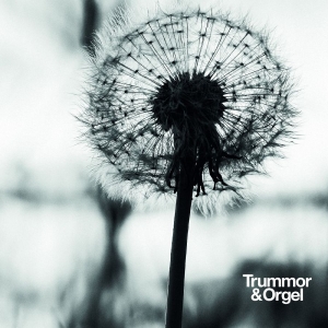 Trummor & Orgel - Graceful Degradation / New Beginnin in the group VINYL / Upcoming releases / Jazz,Pop-Rock,Svensk Musik at Bengans Skivbutik AB (5658733)