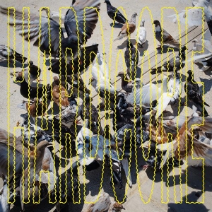 Salo - Hardcore in the group VINYL / Upcoming releases / Pop-Rock at Bengans Skivbutik AB (5659178)