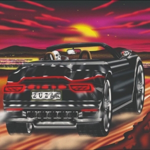 Damaged Bug - Zuzax in the group VINYL / Upcoming releases / Pop-Rock at Bengans Skivbutik AB (5659628)