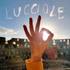 Silvia Tarozzi - Lucciole in the group VINYL / Upcoming releases / Pop-Rock at Bengans Skivbutik AB (5659634)