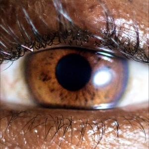 Evadney - It?S Dreaming in the group VINYL / Pop-Rock at Bengans Skivbutik AB (5659668)