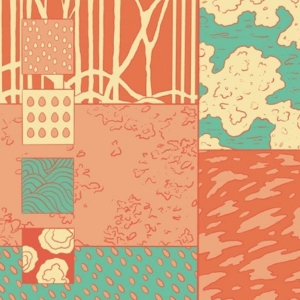 The Leaf Library - After The Rain, Strange Seeds in the group VINYL / Upcoming releases / Pop-Rock at Bengans Skivbutik AB (5660013)