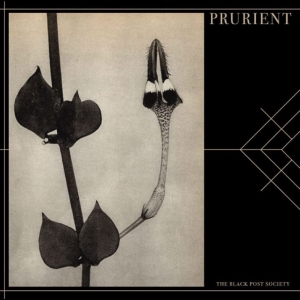 Prurient - The Black Post Society in the group CD / Upcoming releases / Pop-Rock at Bengans Skivbutik AB (5660076)