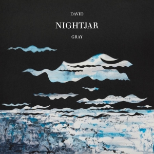 David Gray - Nightjar in the group VINYL / New releases / Pop-Rock at Bengans Skivbutik AB (5663121)