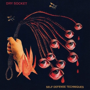 Dry Socket - Self Defense Techniques (2-Color Ga in the group VINYL / Upcoming releases / Pop-Rock at Bengans Skivbutik AB (5663378)