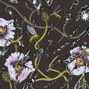 Janus Rasmussen - Inert in the group VINYL / Upcoming releases / Pop-Rock at Bengans Skivbutik AB (5663441)