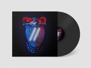 Blackbook - Different (Vinyl Lp) in the group VINYL / Upcoming releases / Pop-Rock at Bengans Skivbutik AB (5663900)