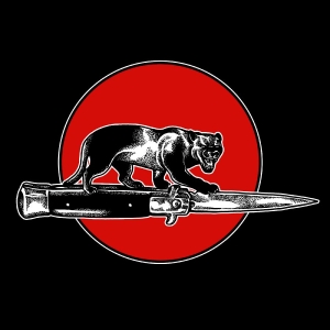 Jim Jones All Stars - Cat Fight in the group VINYL / Upcoming releases / Pop-Rock at Bengans Skivbutik AB (5664112)