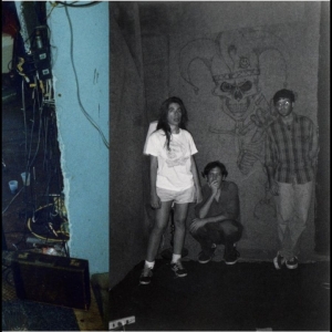 Harry Pussy - You'll Never Play This Town Again in the group VINYL / Upcoming releases / Pop-Rock at Bengans Skivbutik AB (5664295)