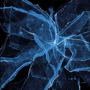 Jason Moran - Shards in the group CD / Upcoming releases / Jazz at Bengans Skivbutik AB (5664329)