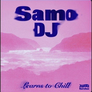 Samo Dj - Learns To Chill in the group VINYL / Upcoming releases / Pop-Rock at Bengans Skivbutik AB (5664645)