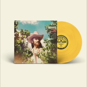 Duane Betts - Isle Of Hope in the group VINYL / Upcoming releases / Pop-Rock at Bengans Skivbutik AB (5664932)