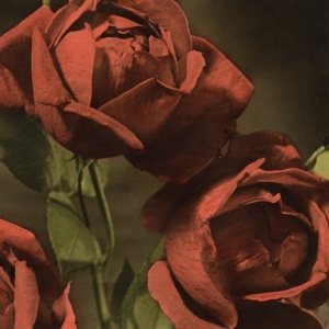 Cindy - Another Country in the group CD / Upcoming releases / Pop-Rock at Bengans Skivbutik AB (5665023)