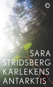 Sara Stridsberg - Kärlekens Antarktis in the group OTHER / Books at Bengans Skivbutik AB (5665087)