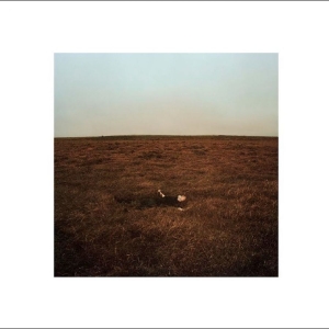 Fink - The City Coming To Erase It All in the group VINYL / Upcoming releases / Pop-Rock at Bengans Skivbutik AB (5665249)