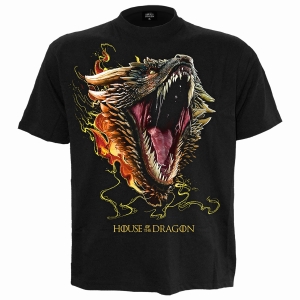 House Of The Dragon - Drogon - T-Shirt in the group MERCHANDISE / T-shirt / TV series at Bengans Skivbutik AB (5666020r)