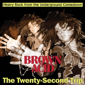 Various Artists - Brown Acid - The Twenty-Second Trip in the group VINYL / Upcoming releases / Pop-Rock at Bengans Skivbutik AB (5667436)