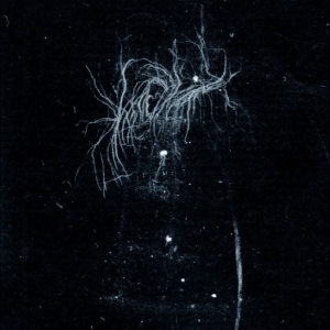 My Heart An Inverted Flame - My Death Is More Beautiful Than You in the group CD / Upcoming releases / Pop-Rock at Bengans Skivbutik AB (5667453)