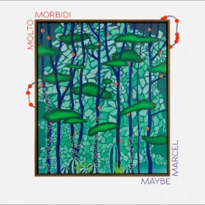 Molto Morbidi - Maybe Marcel in the group VINYL / Upcoming releases / Pop-Rock at Bengans Skivbutik AB (5667646)