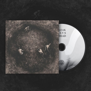 Pure Wrath - Bleak Days Ahead (Digipack) in the group CD / Upcoming releases / Hårdrock at Bengans Skivbutik AB (5667909)