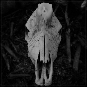 Worsen - Cursed To Witness Life (Vinyl Lp) in the group VINYL / New releases / Hårdrock at Bengans Skivbutik AB (5668028)