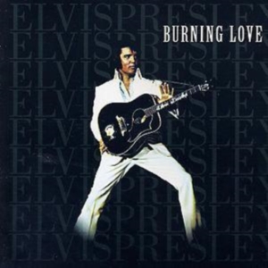 Elvis Presley - Burning Love in the group CD / Pop-Rock at Bengans Skivbutik AB (5668837)