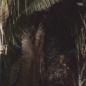 Acid Pauli - Urwald in the group VINYL / Upcoming releases / Pop-Rock at Bengans Skivbutik AB (5669074)