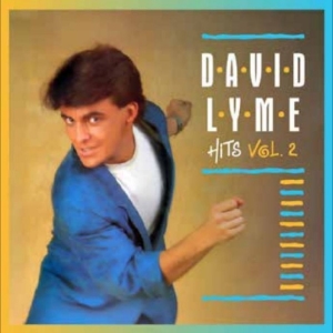 Lyme David - Hits E.P. Vol. 2 in the group VINYL / Upcoming releases / Pop-Rock at Bengans Skivbutik AB (5669114)