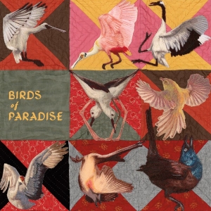 Thomas Dollbaum - Birds Of Paradise (Ltd. Roseate Spo in the group VINYL / Upcoming releases / World Music at Bengans Skivbutik AB (5669362)