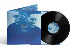 Ed O'brien - Blue Morpho in the group OUR PICKS / Friday Releases / 2026-05-22 at Bengans Skivbutik AB (5669448)