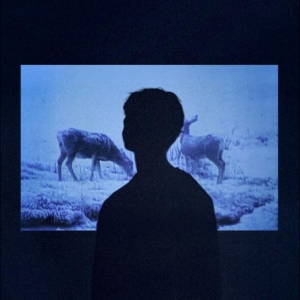 Jumo - Memory in the group VINYL / New releases / Pop-Rock at Bengans Skivbutik AB (5669755)