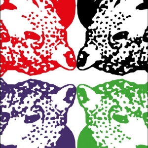 Tiger & Woods - Through The Green in the group VINYL / Upcoming releases / Pop-Rock at Bengans Skivbutik AB (5670066)