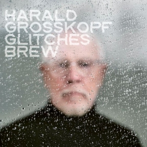 Harald Grosskopf - Glitches Brew in the group VINYL / Upcoming releases / Pop-Rock at Bengans Skivbutik AB (5670865)