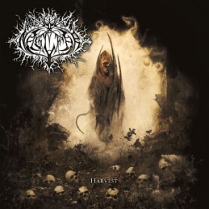 Naglfar - Harvest in the group CD / Upcoming releases / Hårdrock at Bengans Skivbutik AB (5671014)