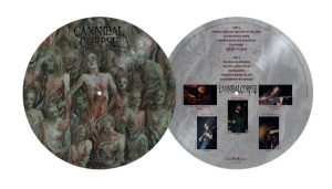 Cannibal Corpse - Bleeding The (Picture Disc Vinyl Lp in the group VINYL / Upcoming releases / Hårdrock at Bengans Skivbutik AB (5671330)