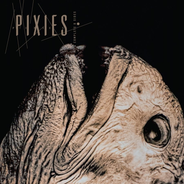 Pixies - Complete B Sides: 1988-97 in the group CD / Upcoming releases / Pop-Rock at Bengans Skivbutik AB (5671426)