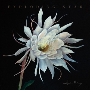 Maloney Heather - Exploding Star in the group VINYL / World Music at Bengans Skivbutik AB (5671578)