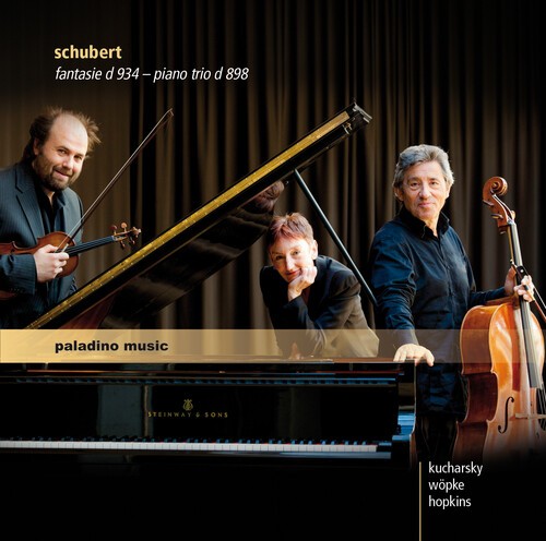 Schubert - Fantasie in the group CD / Klassiskt at Bengans Skivbutik AB (5672906)