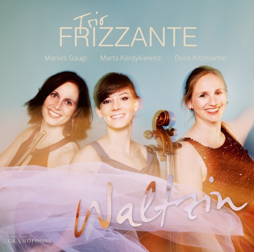 Various - Waltzin in the group CD / Klassiskt at Bengans Skivbutik AB (5672948)