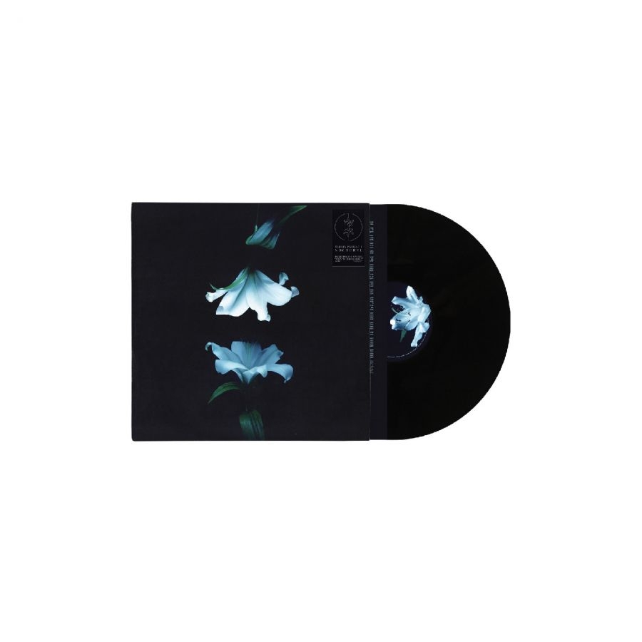 Wasia Project - Nocturne in the group VINYL / Upcoming releases / Pop-Rock at Bengans Skivbutik AB (5673117)