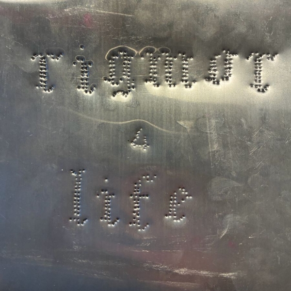 Rigmor - 4 Life in the group VINYL / Upcoming releases / Pop-Rock at Bengans Skivbutik AB (5673406)